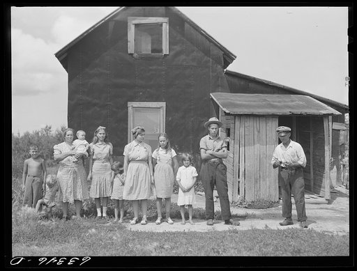 Family of FSA (Farm Security Administration) borrower on cut-over land. Itasca County, Minnesota