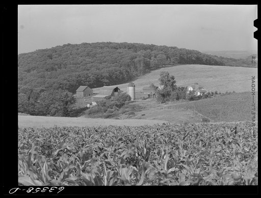 Dairy farm. Iowa County, Wisconsin