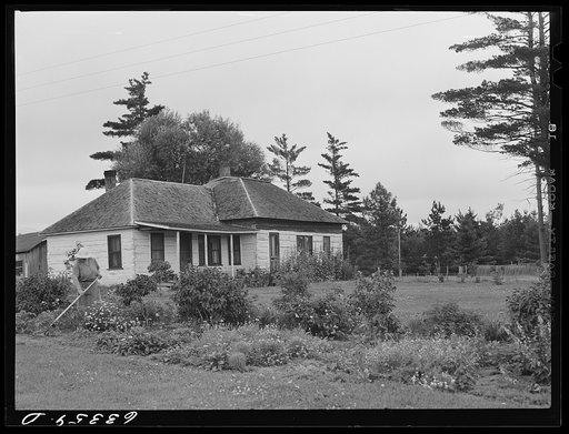 House and garden of FSA (Farm Security Administration) rehabilitation borrower. Itasca County, Minnesota. This woman won beautification prize given by Chamber of Commerce. Grand Rapids, Minnesota