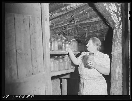 Wife of FSA (Farm Security Administration) borrower in storage cellar. Itasca County, Minnesota, cut-over area