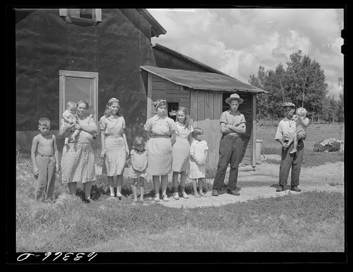 Untitled photo, possibly related to: Family of FSA (Farm Security Administration) borrower on cut-over land. Itasca County, Minnesota