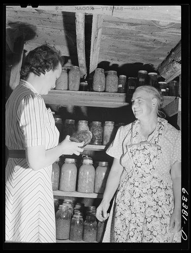 FSA (Farm Security Administration) borrower showing canned goods to home supervisor. Mille Lacs County, Minnesota