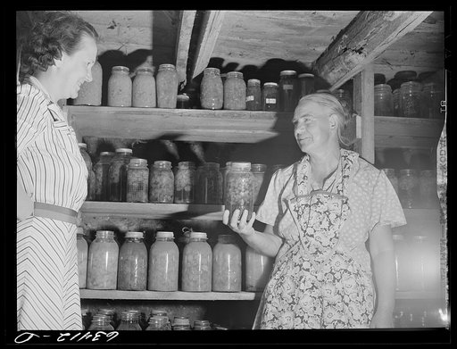 Wife of FSA (Farm Security Administration) borrower showing canned goods to home supervisor. Mille Lacs County, Minnesota