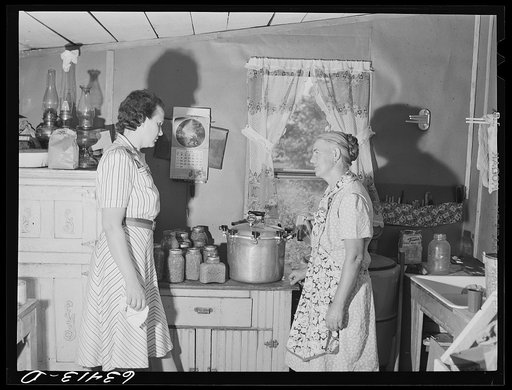 Wife of FSA (Farm Security Administration) borrower discussing pressure cooker with home supervisor. Mille Lacs County, Minnesota