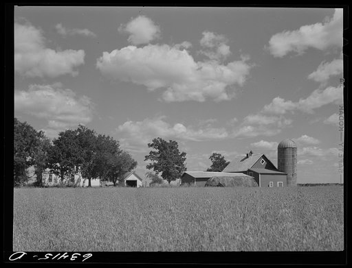 Farm. Santi County, Minnesota