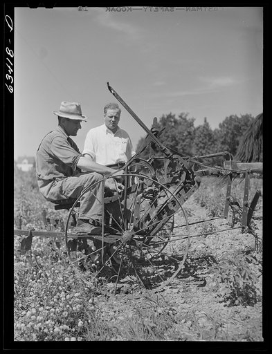 County supervisor and FSA (Farm Security Administration) borrower in potato field. Mille Lacs County, Minnesota