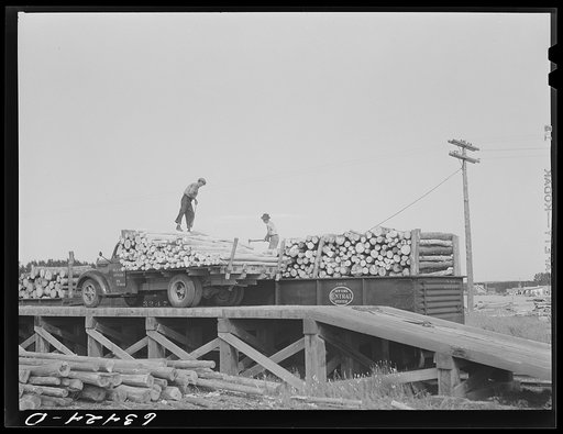 Loading pulpwood onto railroad cars. Springbrook, Wisconsin