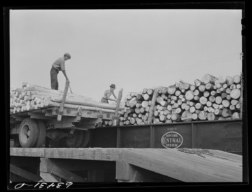 Untitled photo, possibly related to: Loading pulpwood onto railroad cars. Springbrook, Wisconsin