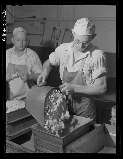 American cheese plant. Putting the salted curd into forms. Antigo, Wisconsin