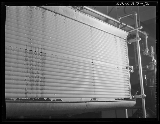 Milk which has been pasteurized running over cooler. Antigo, Wisconsin