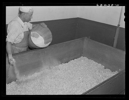 Salting the curd in making American cheese. Antigo, Wisconsin