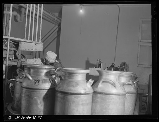 Untitled photo, possibly related to: Receiving and weighing milk at creamery. Antigo, Wisconsin