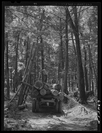 Loading logs onto truck. Shawano County, Wisconsin