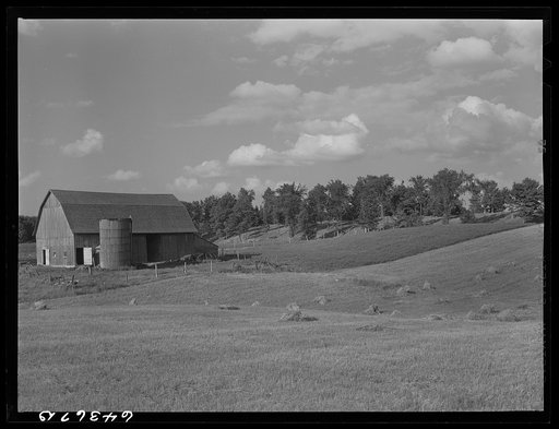 Farmland. Shawano County, Wisconsin