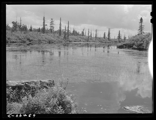 Baraga County, Michigan. Upper penninsula