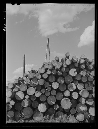 Logs at lumber mill. Trout Creek, Michigan