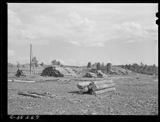 Logs at lumber mill. Trout Creek, Michigan