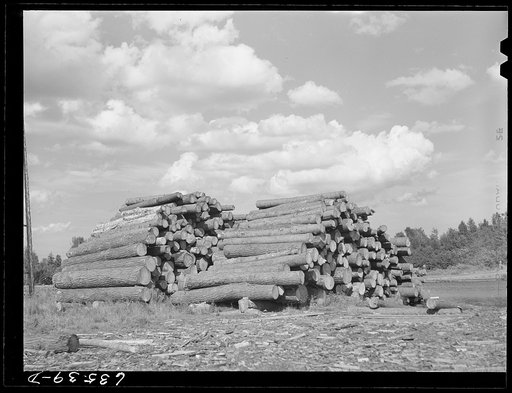 Logs at lumber mill. Trout Creek, Michigan