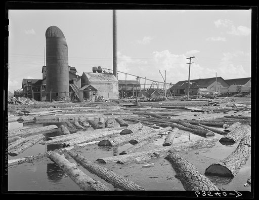 Logs at lumber mill. Trout Creek, Michigan