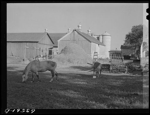 Farm. Shawano County, Wisconsin