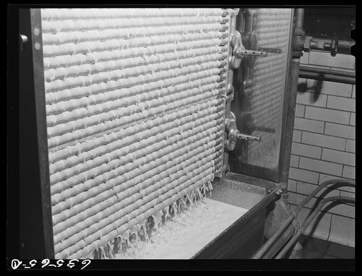 Milk running over cooler after pasteurizing. Duluth Milk Company, Duluth, Minnesota