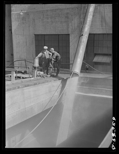 Loading the "James Watt' with wheat. Elevator "E". Duluth, Minnesota