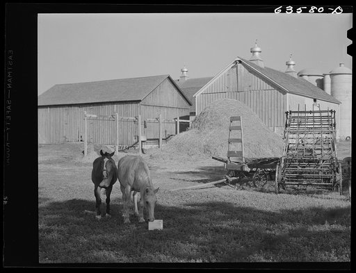 Farm. Shawano County, Wisconsin