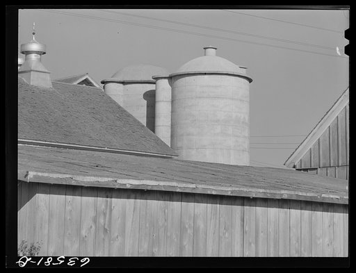 Farm building. Shawano County, Wisconsin