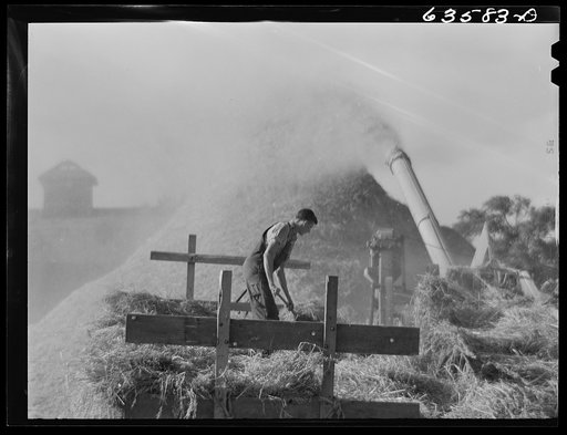 Threshing rye. Portage County, Wisconsin