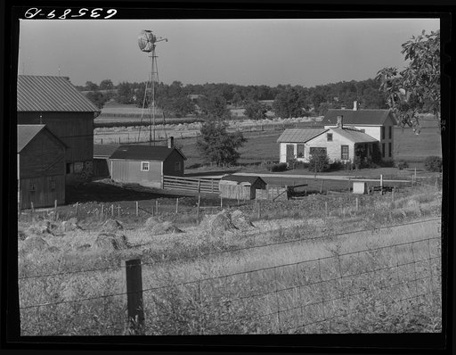 Dairy farm. Waushara County, Wisconsin