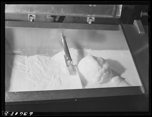Milk being pasteurized. Duluth Milk Company. Duluth, Minnesota