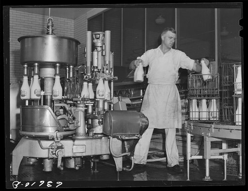 Bottling milk. Duluth Milk Company. Duluth, Minnesota