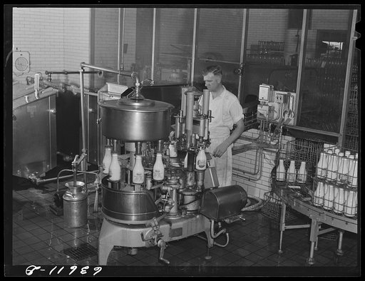 Bottling milk. Duluth Milk Company. Duluth, Minnesota