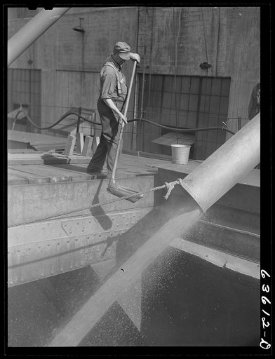 Grain inspector using "Pelican" to obtain sample of wheat going into hold of Great Lakes boat. Duluth, Minnesota