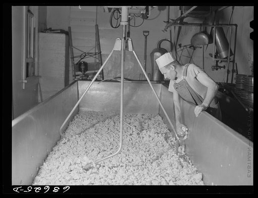 Making American cheese. Antigo, Wisconsin