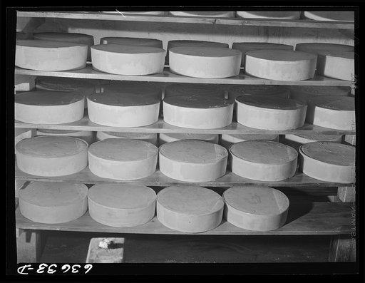American cheeses in factory at Antigo, Wisconsin