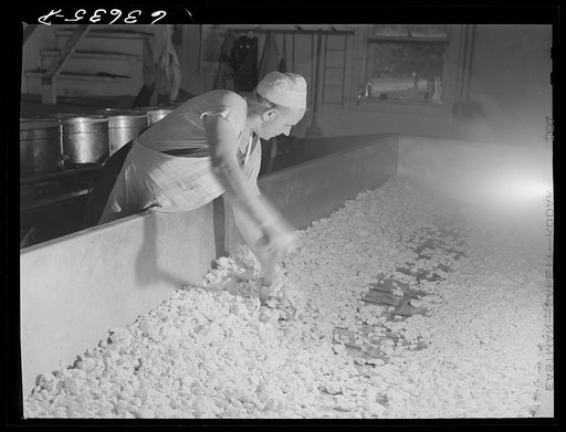 Untitled photo, possibly related to: Making American cheese. Antigo, Wisconsin