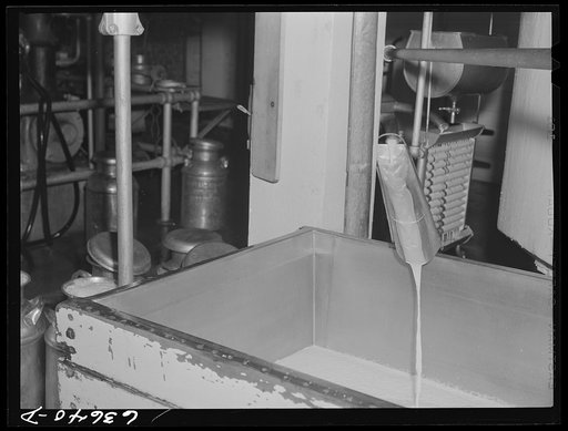 Pouring off skim milk. Creamery at Antigo, Wisconsin