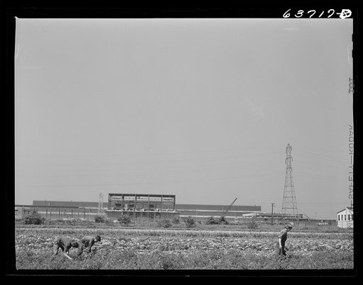Hudson ordnance plant. Truck farm in foreground. Near Detroit, Michigan