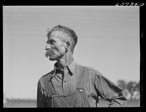 Farmer. Isabella County, Michigan