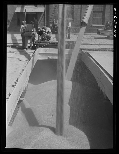 Loading grain into hold of Great Lakes boat. Superior, Wisconsin