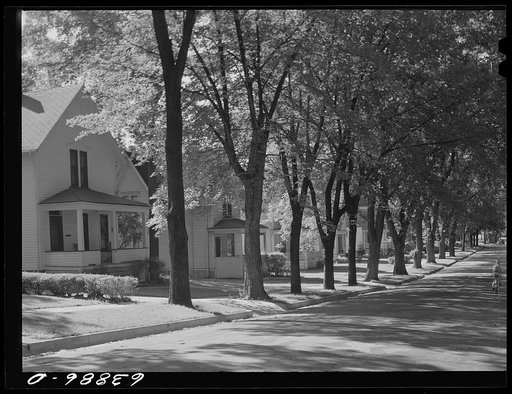 Residential street. Elgin, Illinois