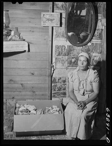 Mexican woman living in the Mexican sugar beet area. Saginaw County, Michigan