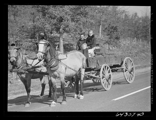 Untitled photo, possibly related to: Carter County, Missouri. FSA (Farm Security Administration) borrowers