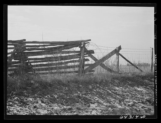 Carter County, Missouri. Rail fence joining barbed wire fence