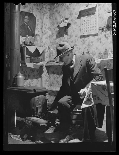 Washington County, Illinois. Billy Williams, sity-five year-old squatter, living in shack he built himself