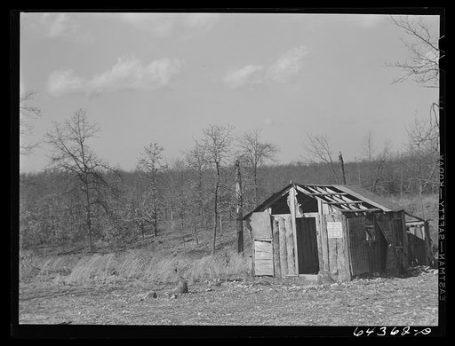 Untitled photo, possibly related to: Newton County, Missouri. Camp Crowder area. Former home of Ozark farm family whose land was bought by the Army for construction