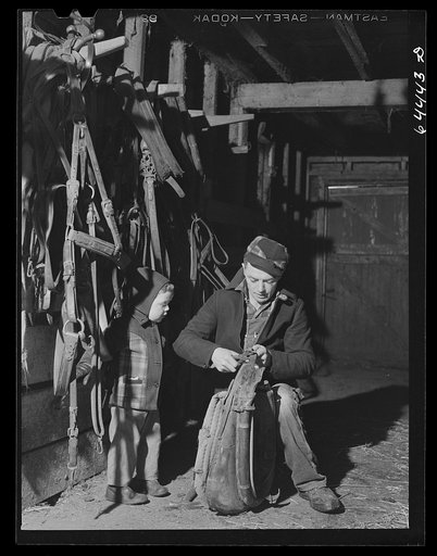 Meeker County, Minnesota. Mike McRaith repairing harness; his son Jerry is watching. He farms eighty acres in Meeker County, Minnesota