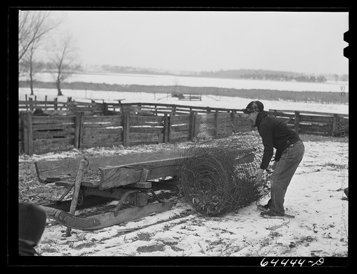 Meeker County, Minnesota. Mike McRaith loading some fence onto sled