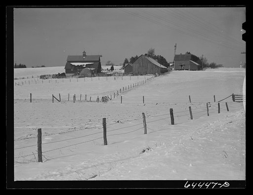 Viroqua, Wisconsin (vicinity). Dairy farm.